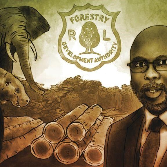 Investigation faults Liberian agency protecting rainforest